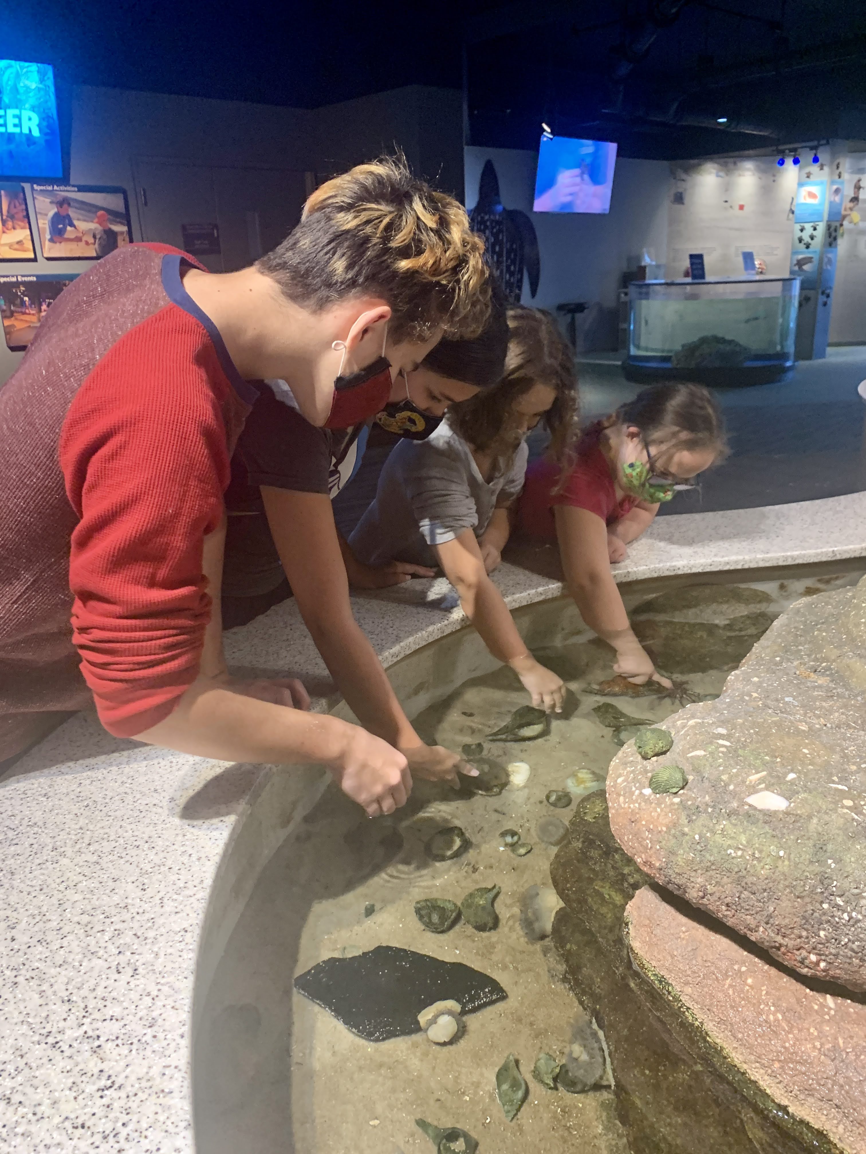 aquarium